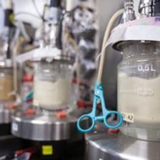 生物技術中心 驅動創(chuàng)新與開發(fā)的引擎