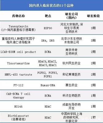多發(fā)性骨髓瘤治療藥物的發(fā)展歷程 從1959到2017，聚焦20款上市藥物與中國臨床進展